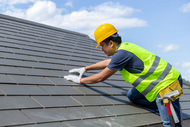 Best Metal Roofing Contractor  in Las Lomas, TX