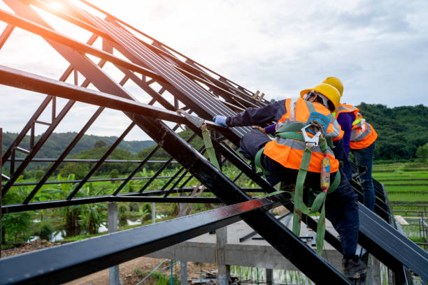 Best Roof Waterproofing Services  in Las Lomas, TX