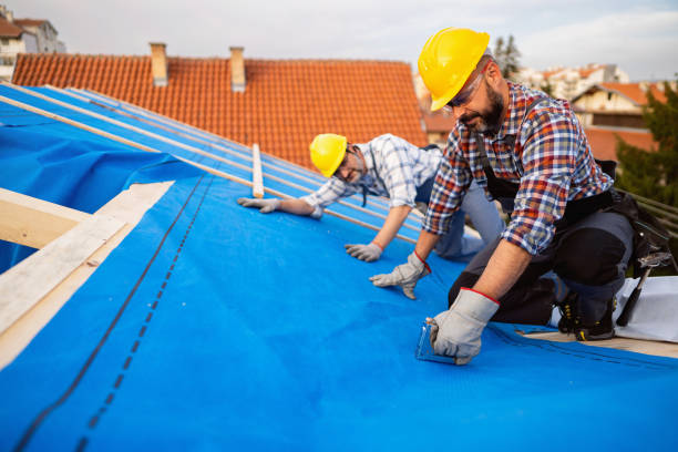 Quick and Trustworthy Emergency Roof Repair Services in Las Lomas, TX