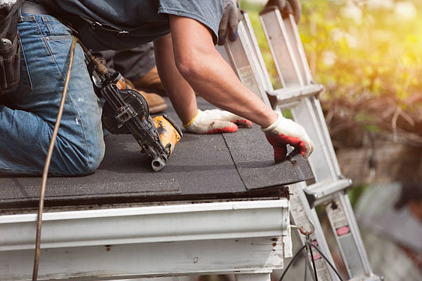 Best Local Roofing Companies  in Las Lomas, TX
